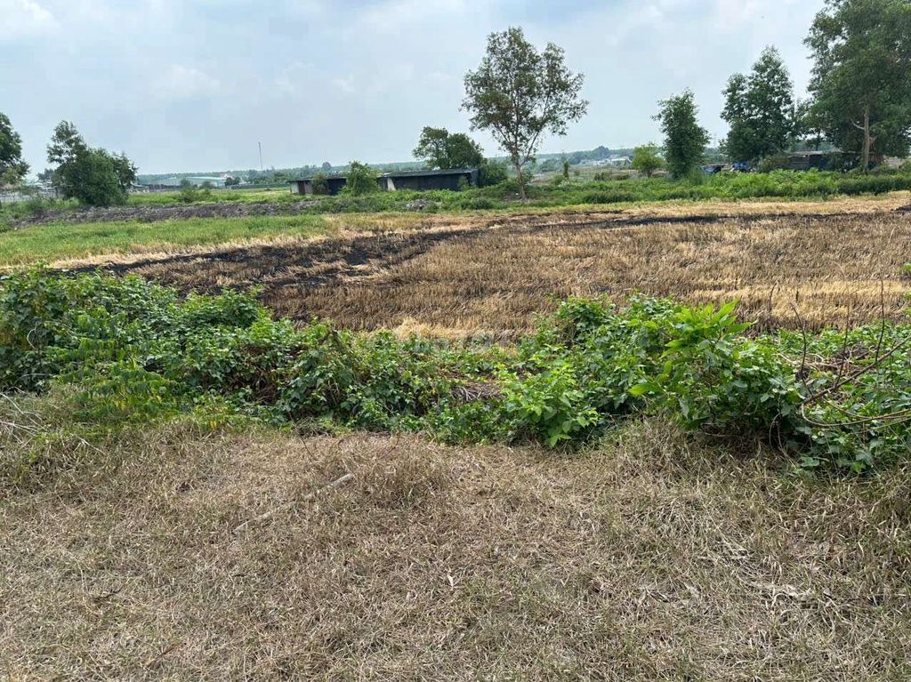 CHÍNH CHỦ CẦN BÁN LÔ ĐẤT 3763m2, xã Tân Thạnh Đông .