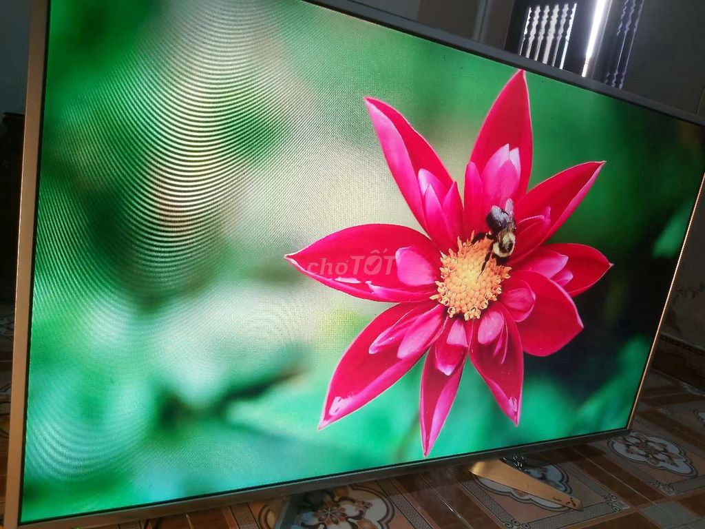 Tv panasonic 49in đẹp có mạng trực tiếp