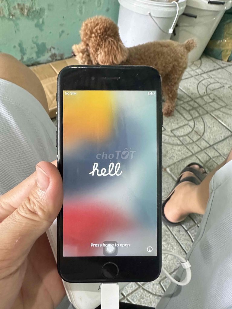 Apple iPhone 7 128GB Đen Hư nút Home. Mua bán Điện thoại tại Thành phố Bến Tre Bến Tre được đăng bởi Phúc  hình 1