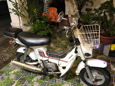 HONDA CHALY 1984/50cc