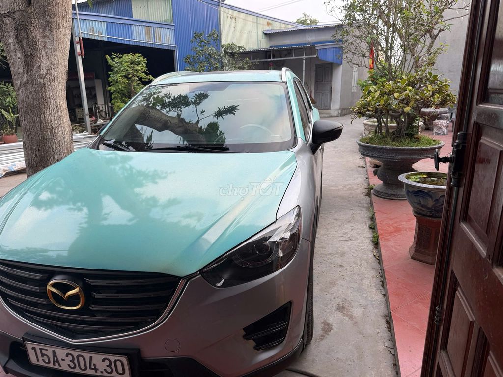 Ảnh số 4