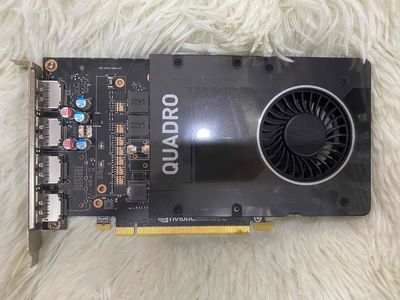 Quadro P2200 5G và T1000 8G. Mua bán Linh kiện (RAM, Card...) tại Quận Bình Thạnh Tp Hồ Chí Minh được đăng bởi Vi Tinh Hung Dung