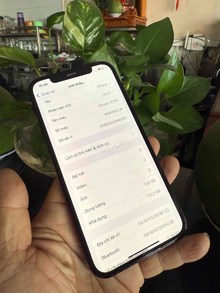 iPhone 12 pro 128G xanh qte Mỹ