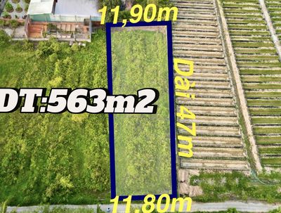 đất đẹp giá rẻ nhất thị trường. Mua bán đất tại Huyện Mang Thít Vĩnh Long được đăng bởi Đăng Tuyền 
