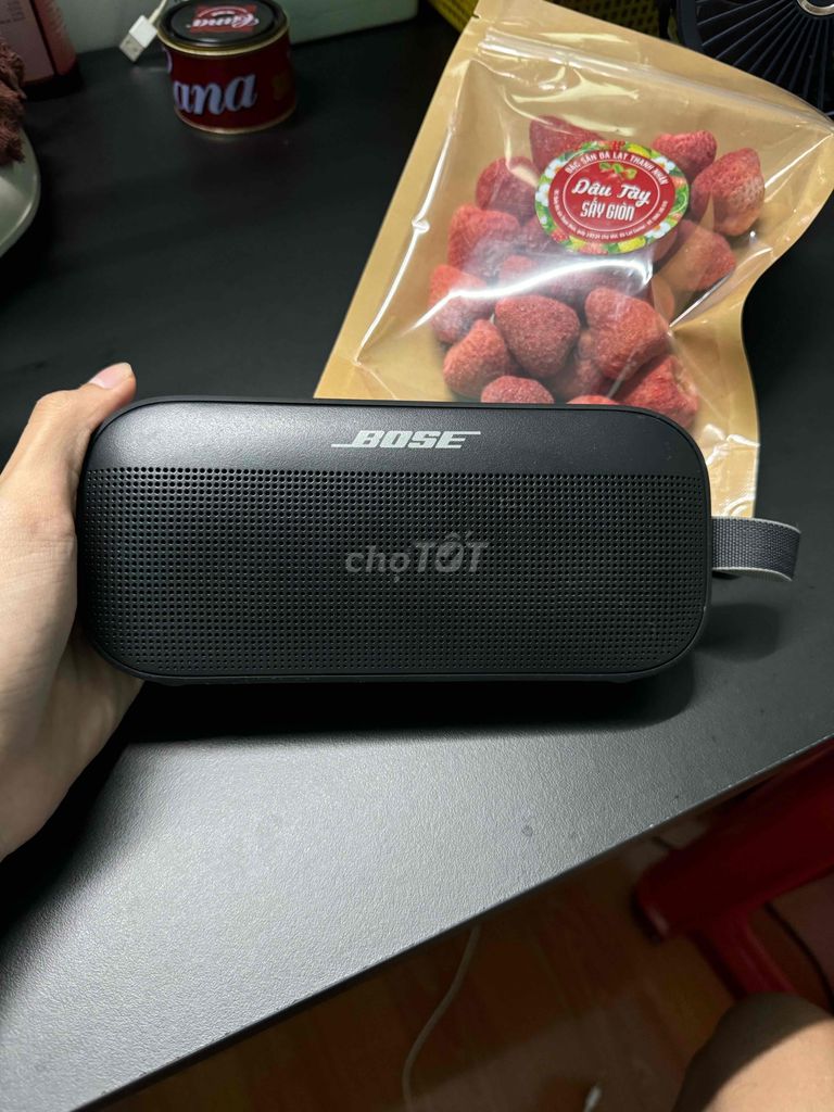 Bose Soundlink Flex