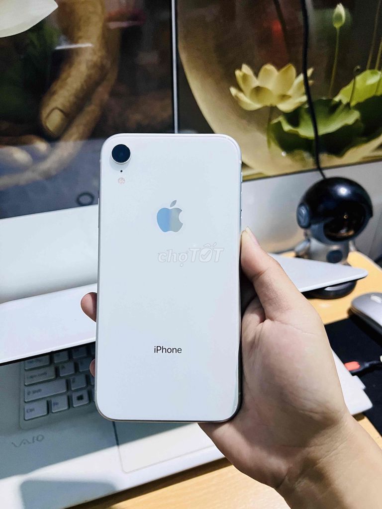 Apple iPhone XR 64GB Trắng Đã sử dụng. Mua bán Điện thoại tại Thị xã Phú Mỹ Bà Rịa - Vũng Tàu được đăng bởi Bi  hình 1