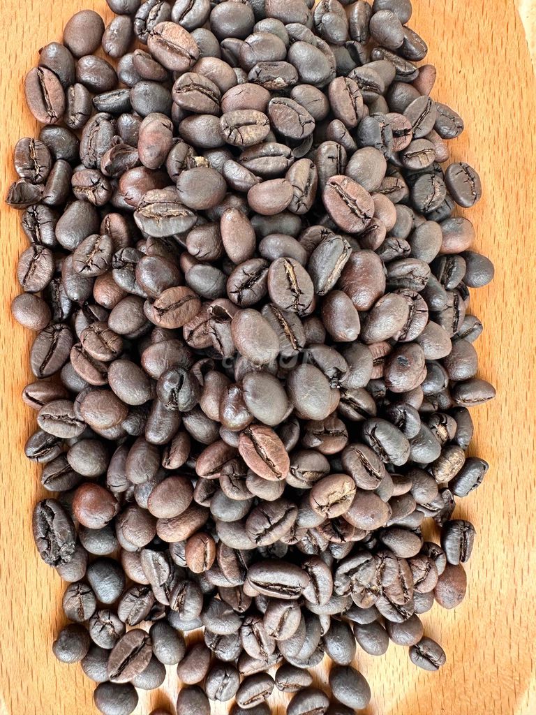 CAFE HẠT RANG ROBUSTA. Mua bán Đồ ăn, thực phẩm và các loại khác tại Huyện Thoại Sơn An Giang được đăng bởi Phương Nhân hình 3