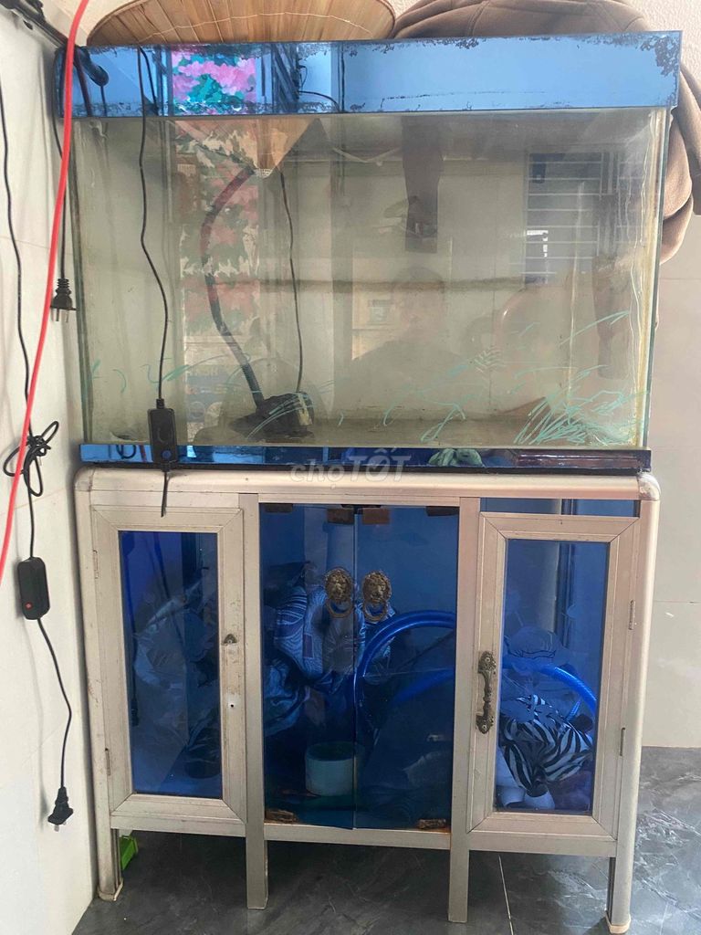 Hồ cá kính 70x60 cm. Mua bán Phụ kiện, Thức ăn, Dịch vụ tại Huyện Thăng Bình Quảng Nam được đăng bởi Trần vũ hình 1