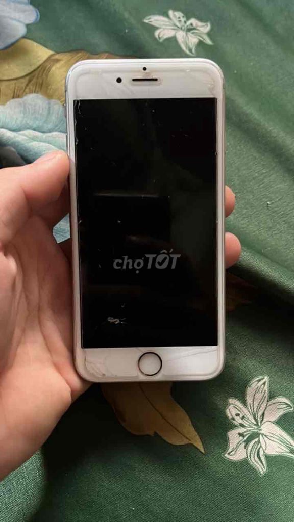 Apple iPhone 6s 64GB Bạc Đã sử dụng. Mua bán Điện thoại tại Huyện Giồng Riềng Kiên Giang được đăng bởi Triệu Đinh hình 1