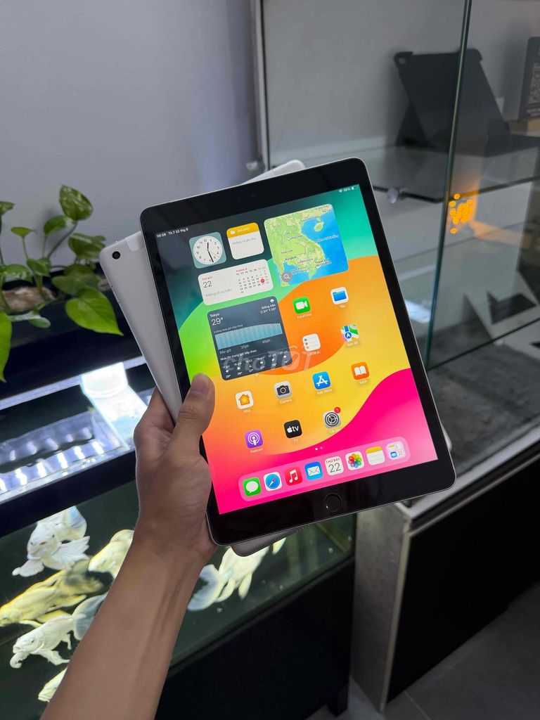 iPad Gen 9 Wifi + 4G 64GB Bạc. Mua bán Máy tính bảng tại Quận 12 Tp Hồ Chí Minh được đăng bởi Đình Tuấn hình 1