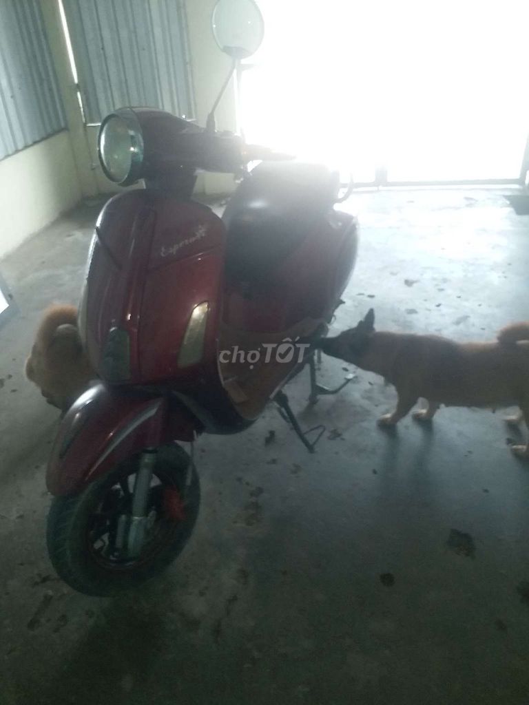 Vespa espreso giấy zin