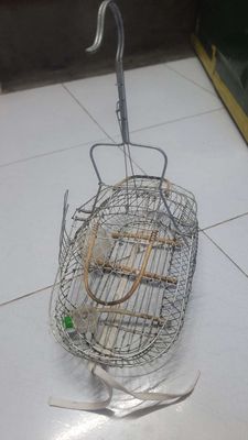 Lồng bẫy chim hút mật. Mua bán Phụ kiện, Thức ăn, Dịch vụ tại Quận 7 Tp Hồ Chí Minh được đăng bởi binh