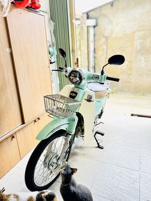 Xe Cub 50cc học sinh đi, odo 320km, sx 2024. Mua bán Xe máy tại Quận Gò Vấp Tp Hồ Chí Minh được đăng bởi Nhật Thanh Nguyễn