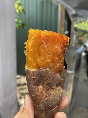 COMBO 2 KÍ KHOAI LANG MẬT TÀ NUNG ĐÀ LẠT. Mua bán Đồ ăn, thực phẩm và các loại khác tại Thành phố Bến Tre Bến Tre được đăng bởi Thu Huyen