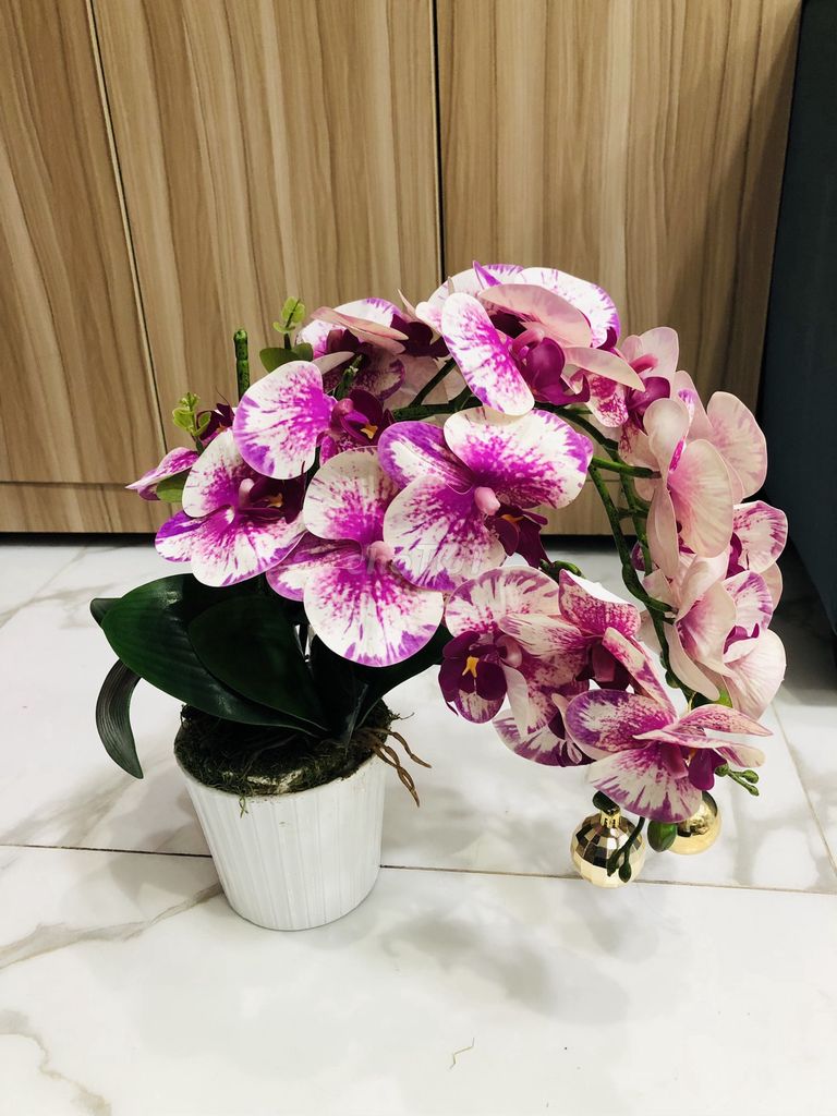 THANH LÝ CHẬU HOA LAN HỒ ĐIỆP GIẢ CAO CẤP. Mua bán Cây cảnh, đồ trang trí tại Quận 3 Tp Hồ Chí Minh được đăng bởi Chauvy House hình 1