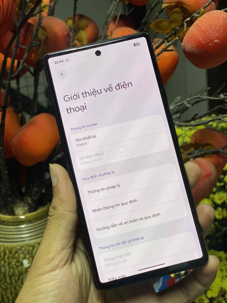 Google Pixel 6 8/128GB Đen. Mua bán Điện thoại tại Thành phố Buôn Ma Thuột Đắk Lắk được đăng bởi Hoàng Vũ hình 1