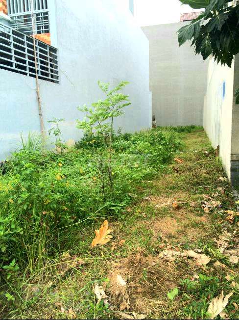 GẤP! Ra nhanh đẩ An Bình, 60m²(5×12), 60o tr, SHR