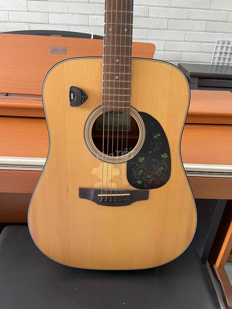 Guitar Takamine D1D NS