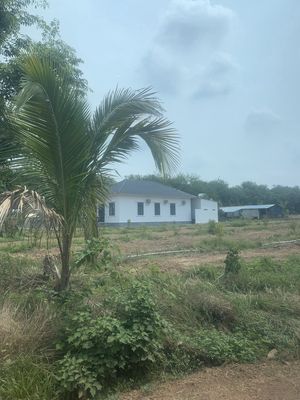 Cần bán nhanh 3100m2 thổ cư đất gần ủy ban Minh thạnh bình dương shr. Mua bán đất tại Huyện Dầu Tiếng Bình Dương được đăng bởi Trân