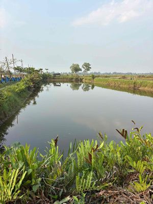 VIEW SÔNG TAM TIẾN CỰC MÁT – SỞ HỮU NGAY ĐẤT 2 MẶT TIỀN, TẶNG KÈM NHÀ