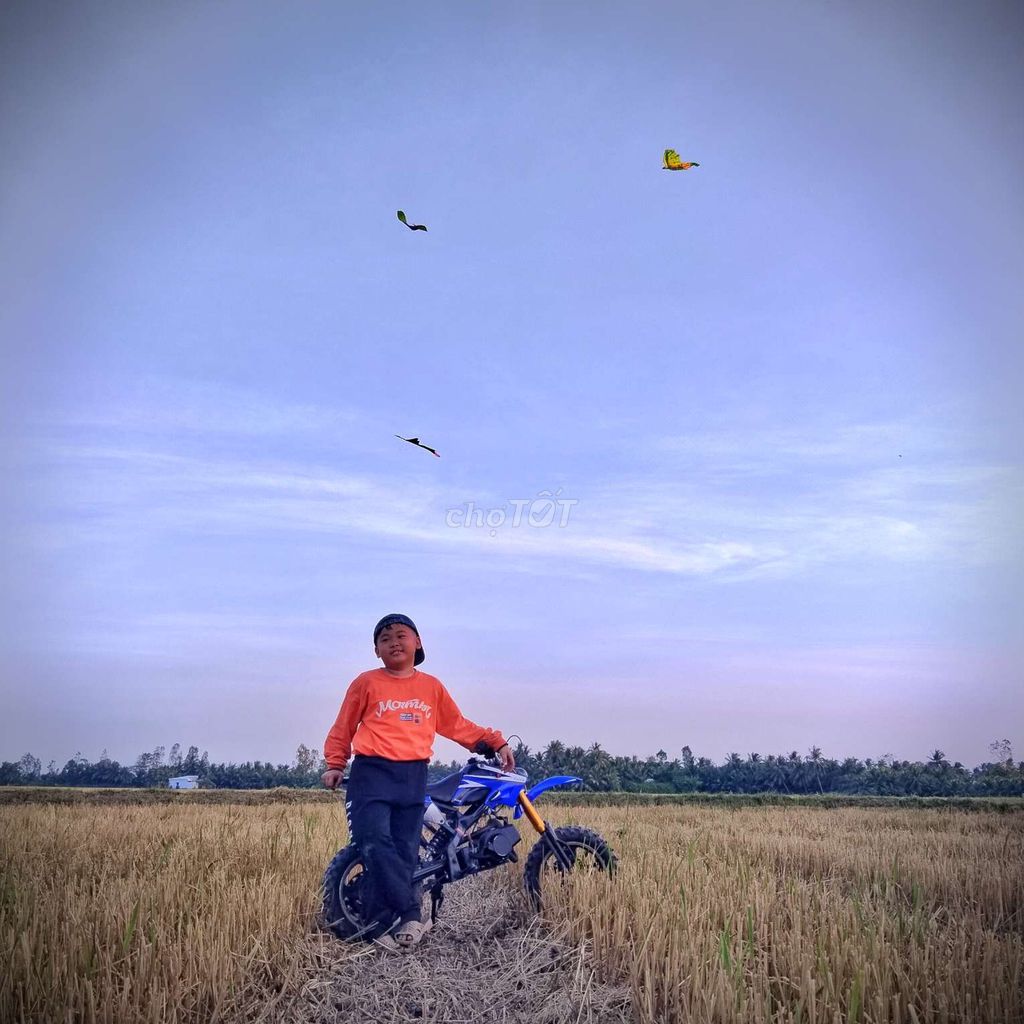 Bán xe cào cào mini 50cc 2thì. Mua bán Xe máy tại Huyện Vũng Liêm Vĩnh Long được đăng bởi Nguyễn Hân hình 1