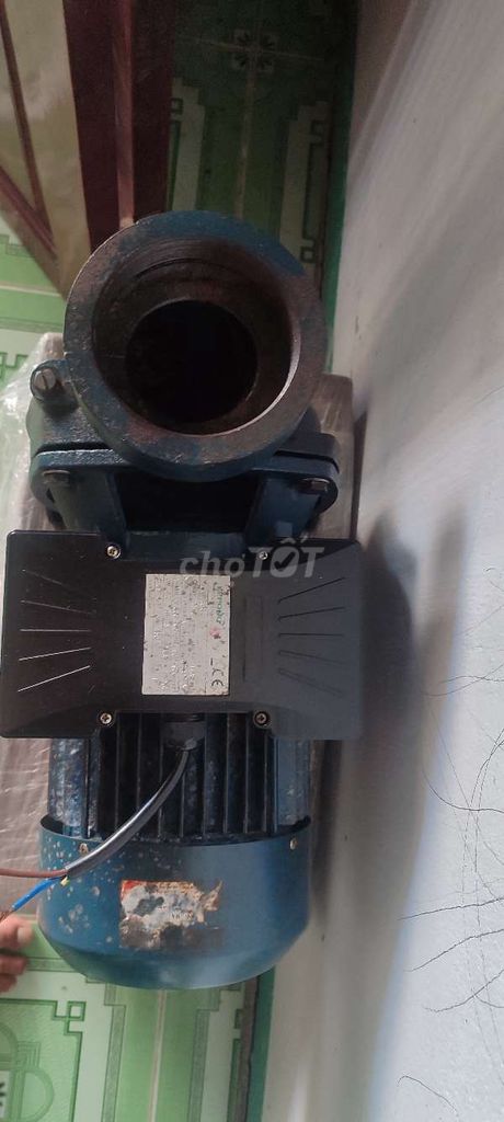 Máy bơm nước LEPONO 3hp ống . Mua bán Đồ chuyên dụng, Giống nuôi trồng tại Huyện Vũng Liêm Vĩnh Long được đăng bởi A nguyen hình 1