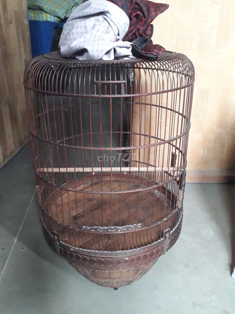 chin hết còn 64 tran ha nôi xưa. Mua bán Chim tại Quận 12 Tp Hồ Chí Minh được đăng bởi hoa my khiếu hình 1