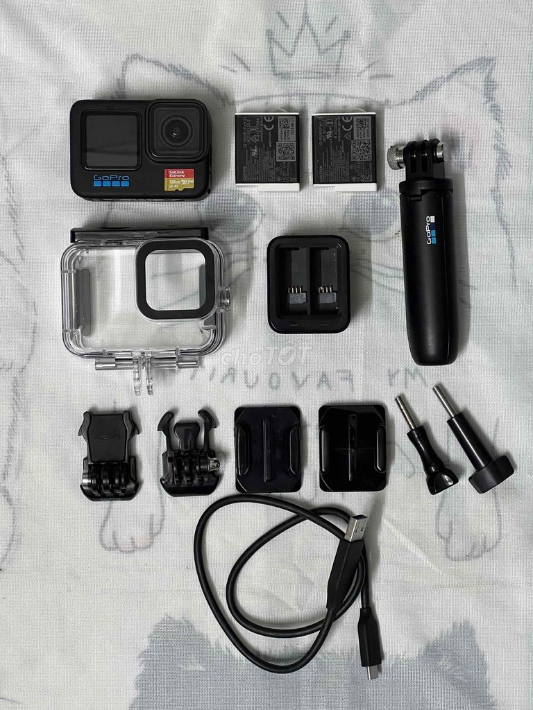 Gopro 11 Black, 2 pin enduro, thẻ sandisk 128gb