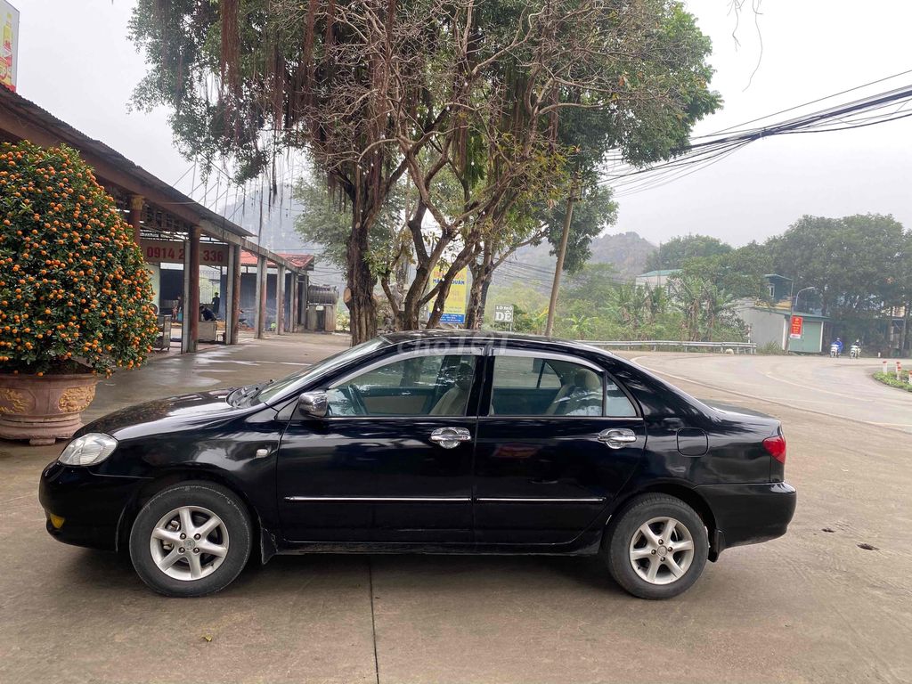 Ảnh số 6