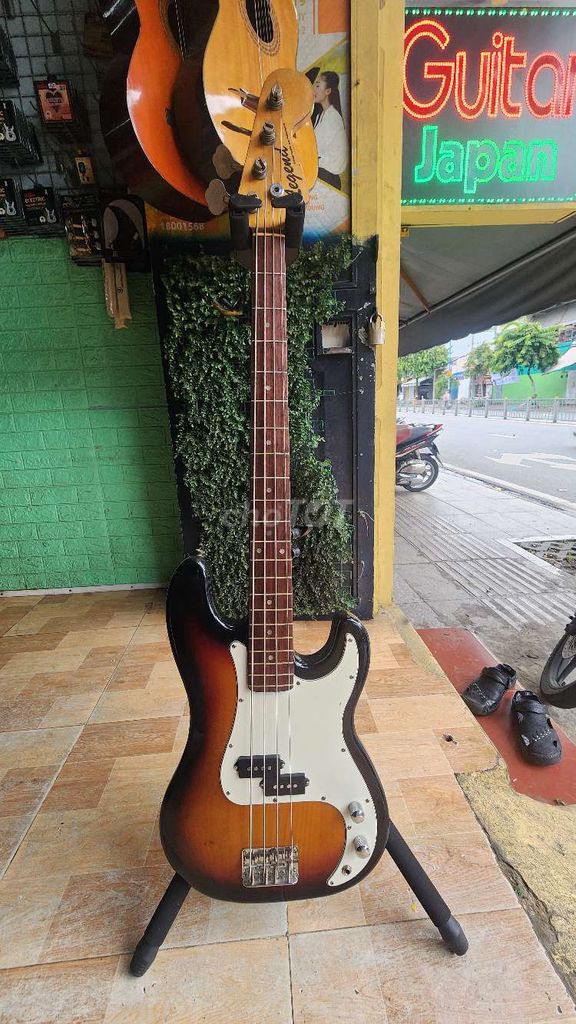 Guitar BASS cho người mới học.