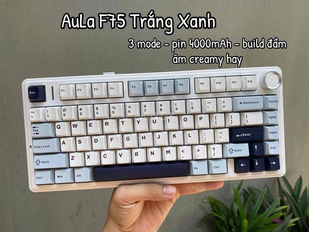 Bàn phím Aula F75 New Trắng đen. Mua bán Phụ kiện (Màn hình, Chuột...) tại Thị xã Phú Mỹ Bà Rịa - Vũng Tàu được đăng bởi Tiến Dũng hình 1