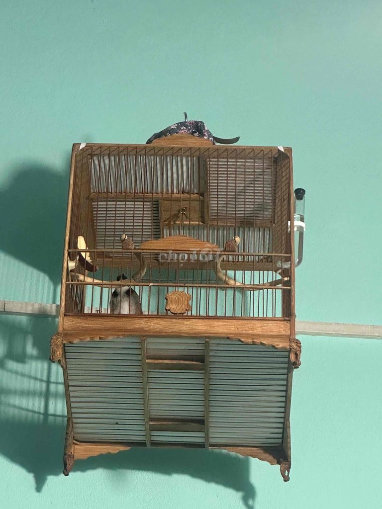 Lồng chim Gỗ Nâu Chắc chắn. Mua bán Phụ kiện, Thức ăn, Dịch vụ tại Thị xã Bến Cát Bình Dương được đăng bởi nguyễn  hình 1