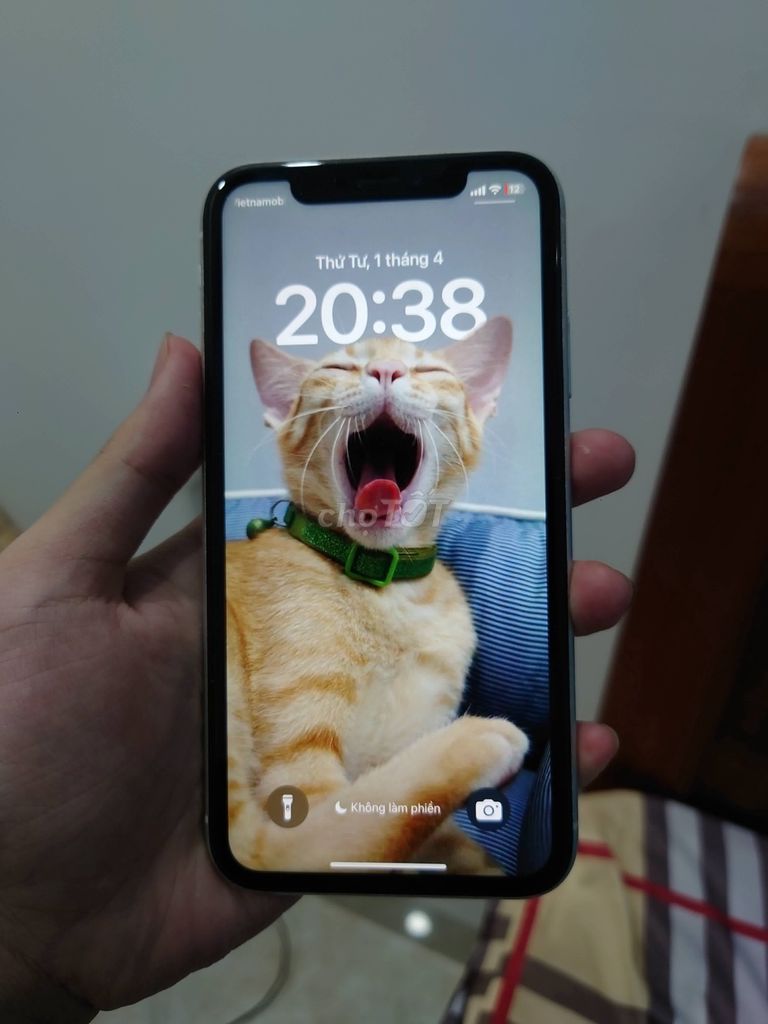 iPhone XR 64GB. Mua bán Điện thoại tại Quận Ngũ Hành Sơn Đà Nẵng được đăng bởi Quốc Huy hình 1