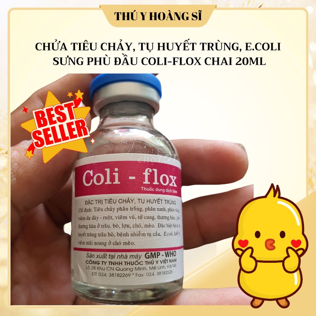 Chửa tiêu chảy, tụ huyết trùng COLI-FLOX chai 20ml