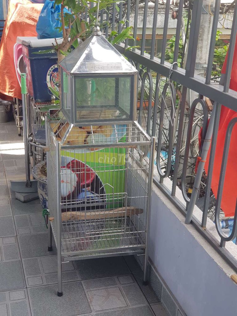 Lồng chim Inox Bạc. Mua bán Phụ kiện, Thức ăn, Dịch vụ tại Quận Thanh Khê Đà Nẵng được đăng bởi Thidiemchau Tran hình 1
