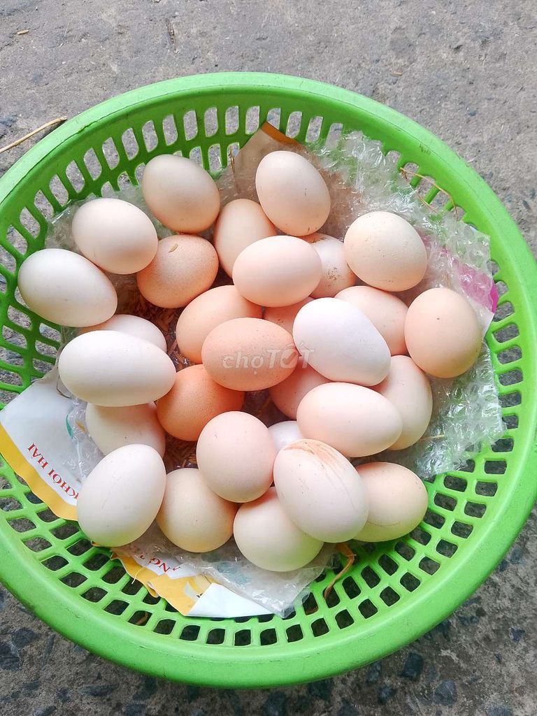 Trứng gà thả vườn tươi. Mua bán Đồ ăn, thực phẩm và các loại khác tại Quận Bình Tân Tp Hồ Chí Minh được đăng bởi Mai Ban hình 1
