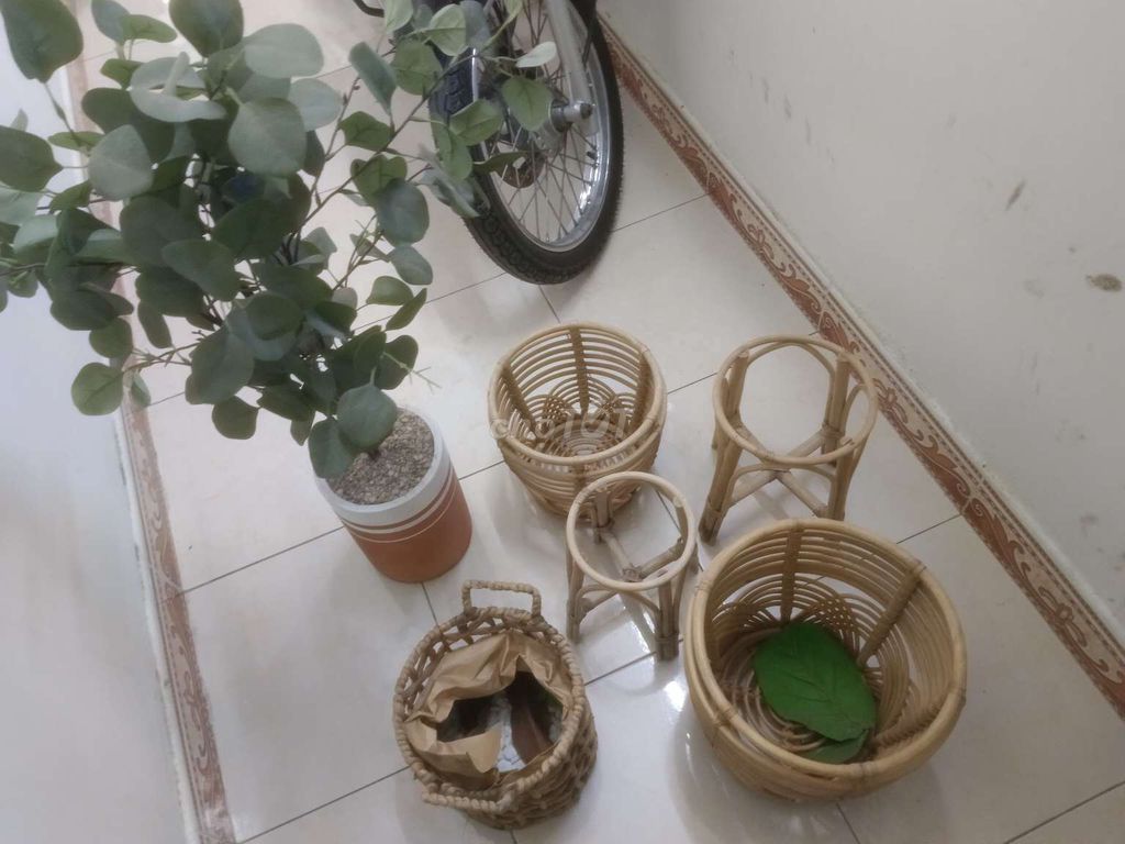 Chậu mây trang trí cây cảnh. Mua bán Cây cảnh, đồ trang trí tại Huyện Nhà Bè Tp Hồ Chí Minh được đăng bởi Tuấn  hình 1