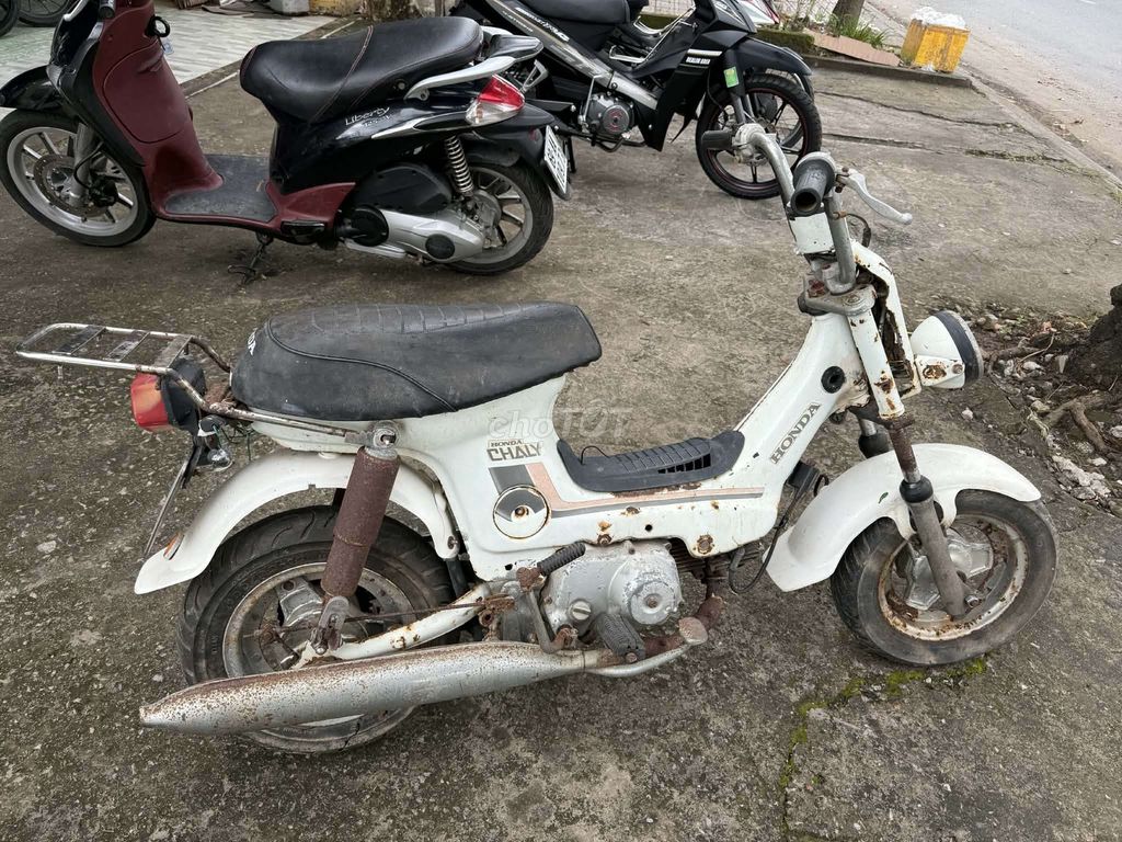 50c ko cần bằng lái. Mua bán Xe máy tại Thành phố Cà Mau Cà Mau được đăng bởi minh tri hình 5