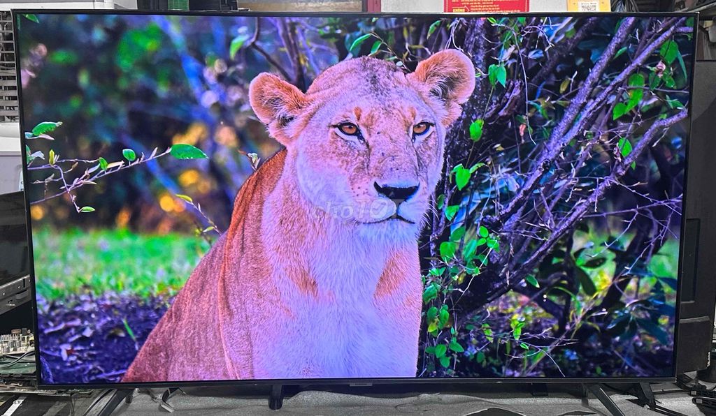 Tivi Samsung 55 inch 4K giọng nói mượt. Mua bán Tivi, Âm thanh tại Quận Hoàng Mai Hà Nội được đăng bởi Tuấn Anh hình 1