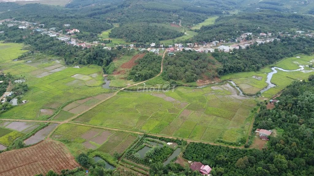 🔥 MINI FARM, VIEW SUỐI, VIEW CÁNH ĐỒNG 🔥