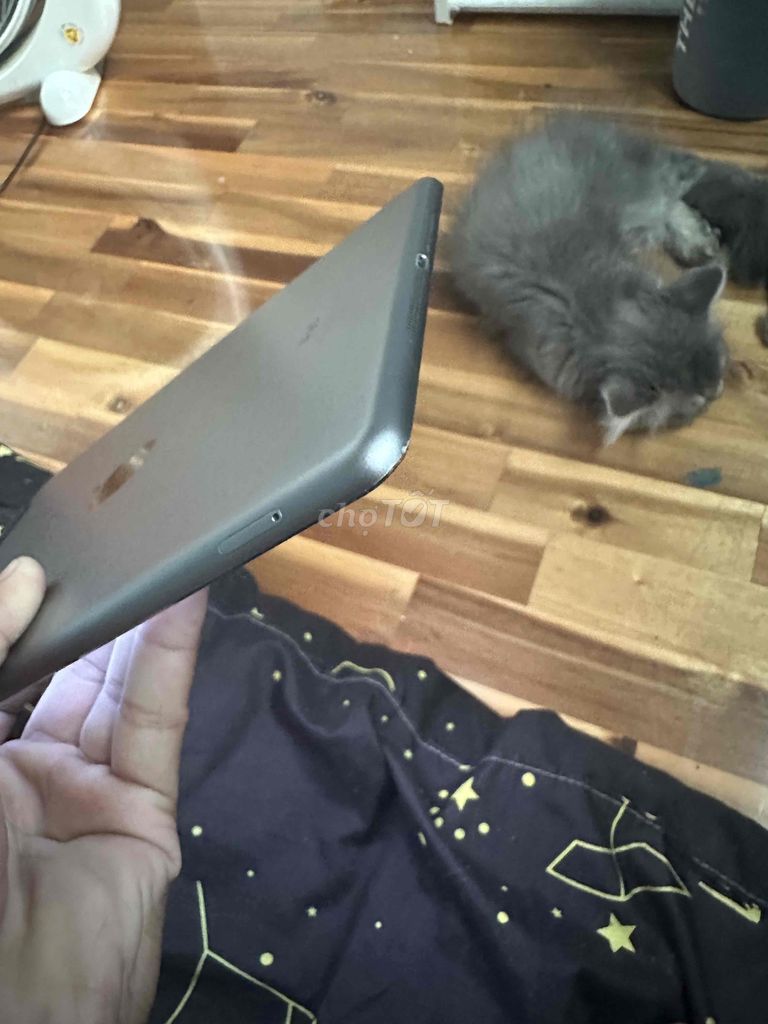 Ipad Air 1 còn bảo hành cửa hàng