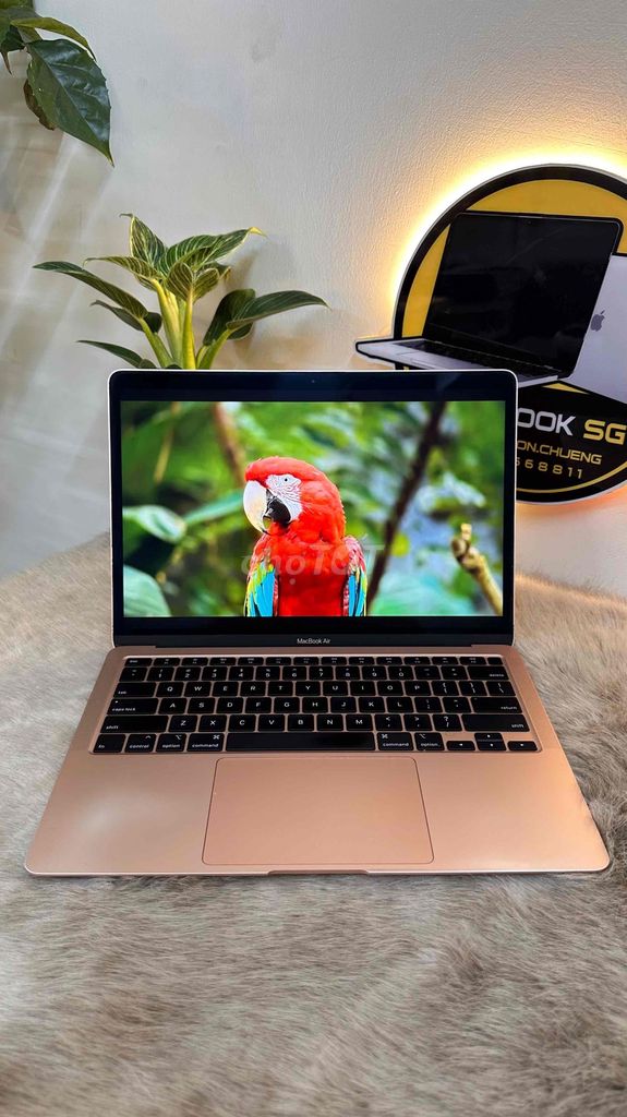 Apple MacBook Air 2020 i5 8GB/512GB. Mua bán Laptop tại Quận 5 Tp Hồ Chí Minh được đăng bởi PT Store Q5 HCM hình 1