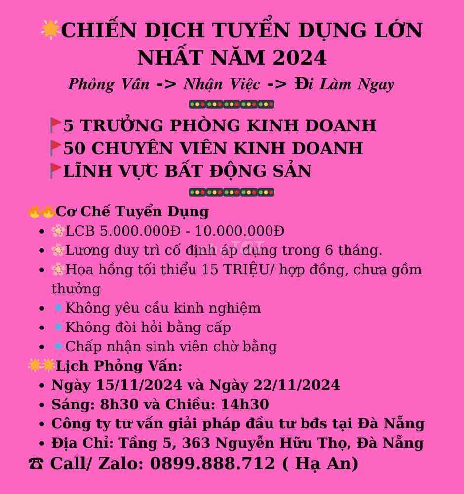 CƠ HỘI ỨNG TUYỂN CUỐI CÙNG TRONG NĂM 2024