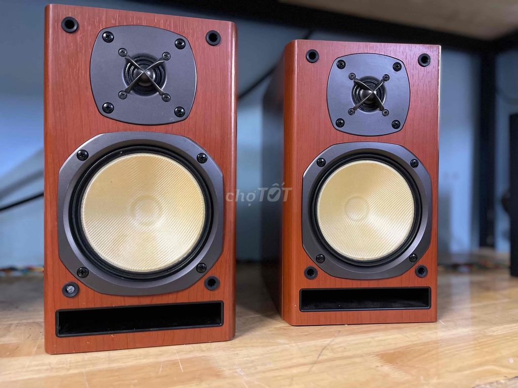 loa onkyo dn7