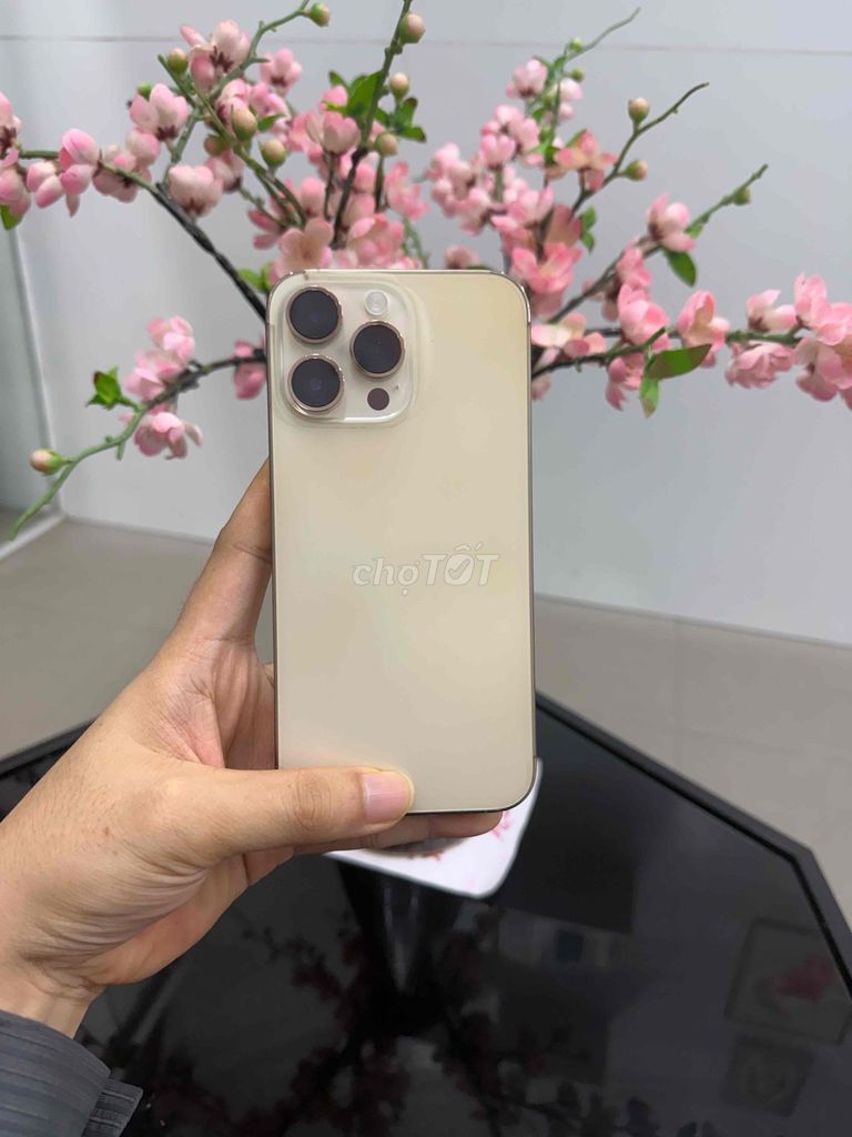 📱14PRM Còn Bảo Hành Apple Đến 4/8/2026. Mua bán Điện thoại tại Thành phố Huế Thừa Thiên Huế được đăng bởi shop văn thành hình 1