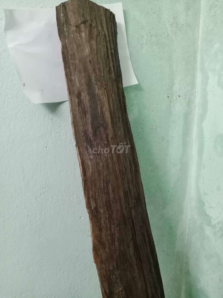 Gỗ phong thủy Gỗ