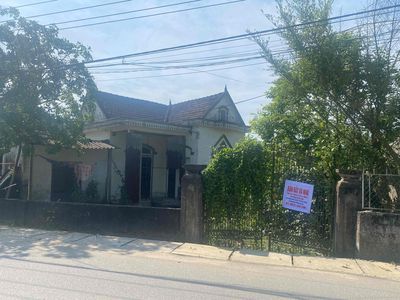 Đất sổ hồng trục QL281, Yên Tràng, Kim Song Trường, Can Lộc. Mua bán đất tại Huyện Can Lộc Hà Tĩnh được đăng bởi Phan Đại