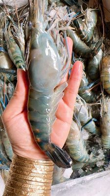 TÔM CỤC THỊT. Mua bán Đồ ăn, thực phẩm và các loại khác tại Thành phố Thủ Đức Tp Hồ Chí Minh được đăng bởi Thực phẩm tươi ngon mỗi ngày 