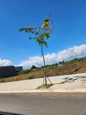 Bán gấp lô đất gần sân bay Long Thành sổ sẵn