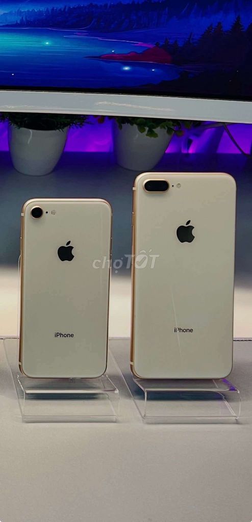 Apple iPhone 8 Vàng hồng Đã sử dụng. Mua bán Điện thoại tại Quận Ninh Kiều Cần Thơ được đăng bởi Minh hình 1